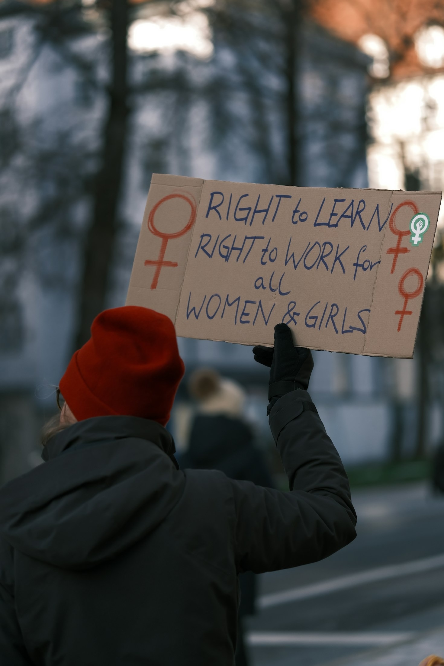 Empowering Marginalized Voices Through Advocacy